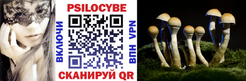 omg онион  даркнет телеграм  Галлюциногенные грибы Magic Shrooms  Валуйки 